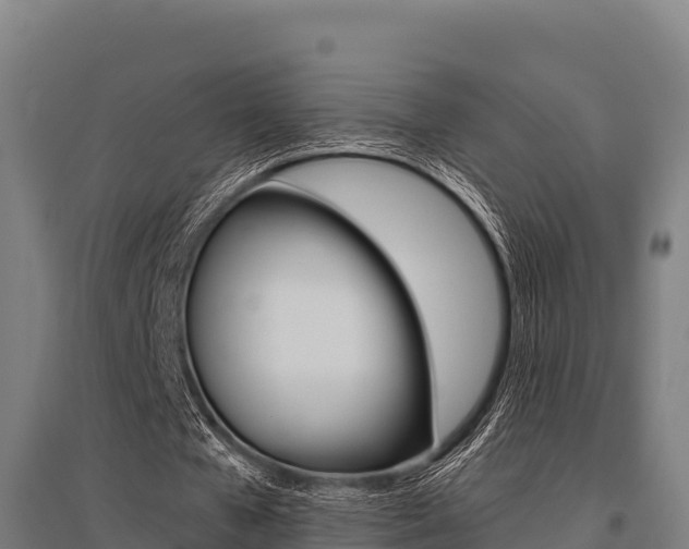 X0000096140577200801180854