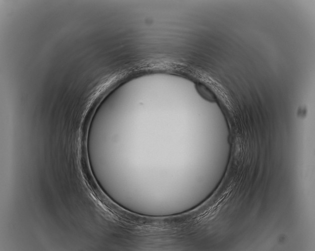 X0000096140578200801180854