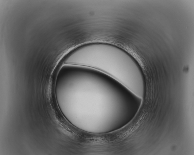 X0000096140580200801180854