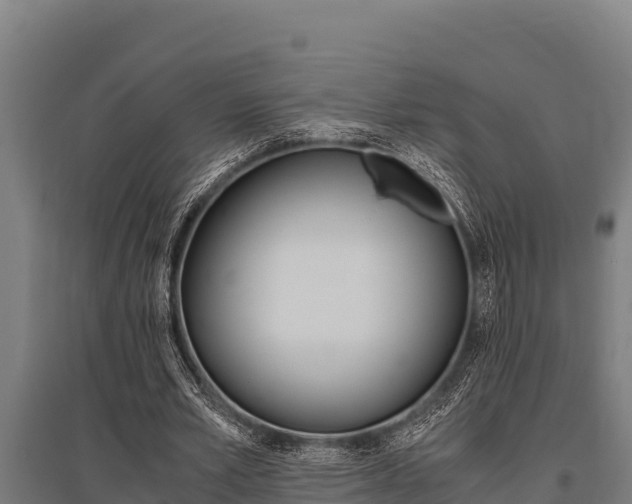 X0000096140581200801180854