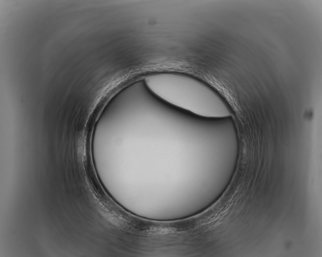 X0000096140582200801180854