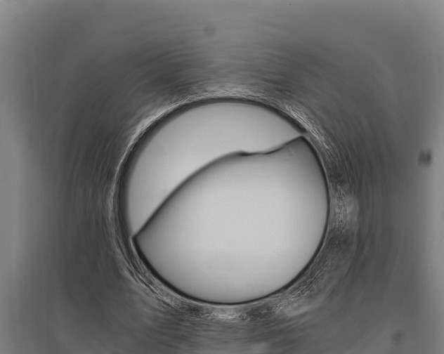X0000096140583200801180854