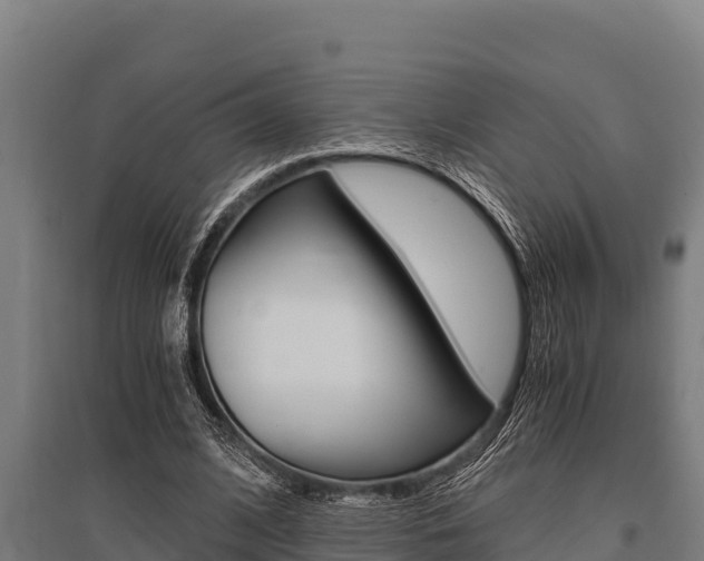 X0000096140584200801180853