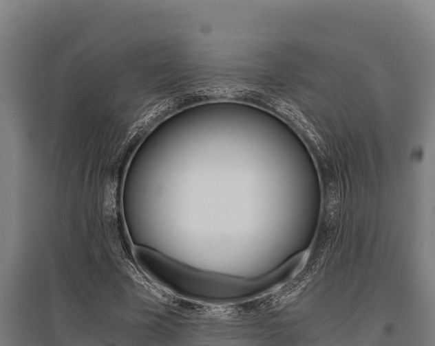 X0000096140585200801180853