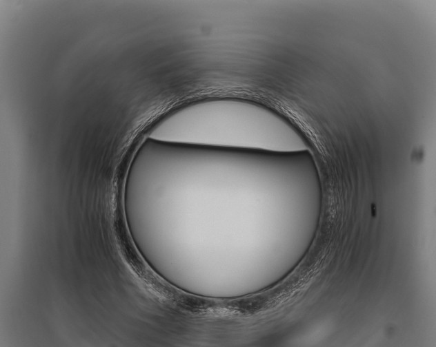 X0000096140586200801180853