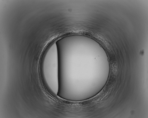 X0000096140587200801180853
