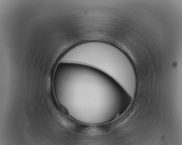 X0000096140589200801180853