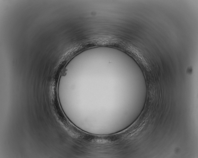 X0000096140590200801180853