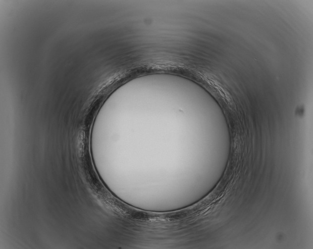 X0000096140591200801180853