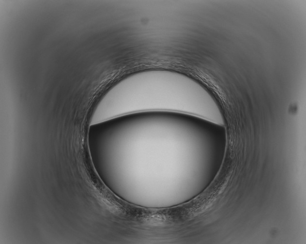 X0000096140593200801180853