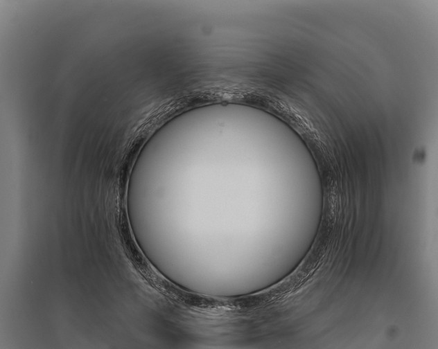 X0000096140594200801180853