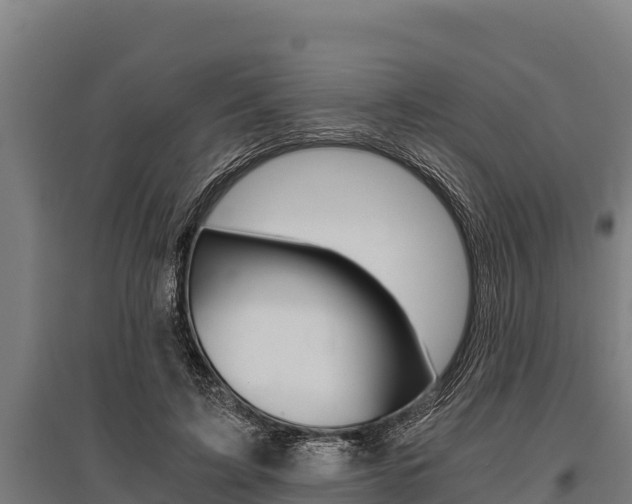X0000096140595200801180853