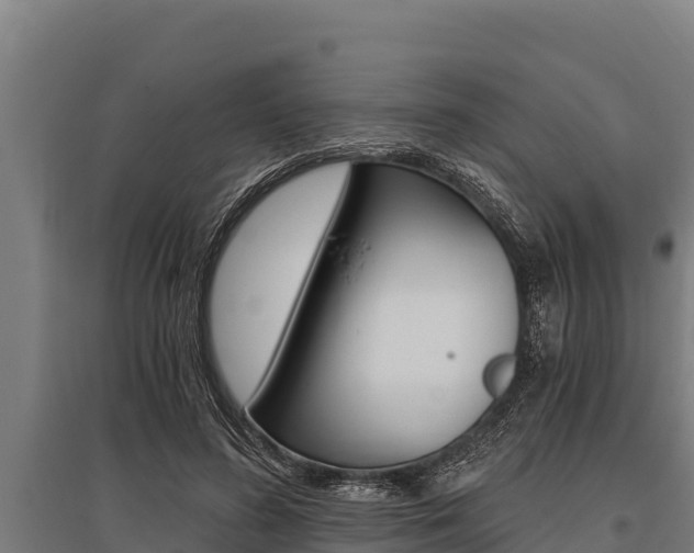 X0000096140596200801180853