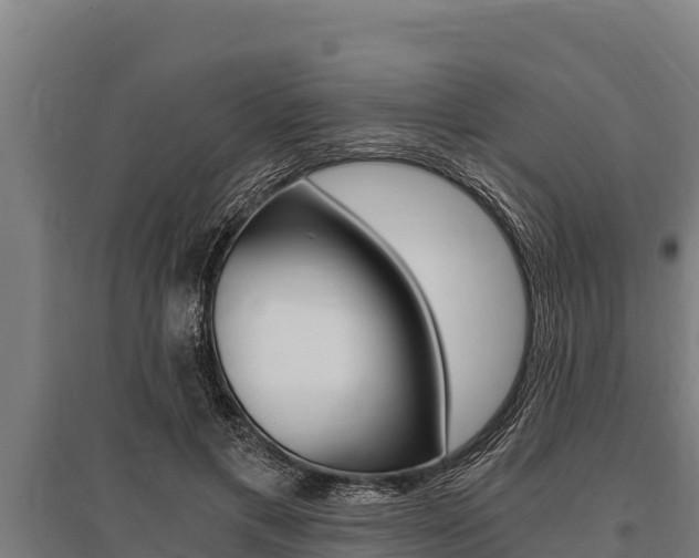 X0000096140597200801180853