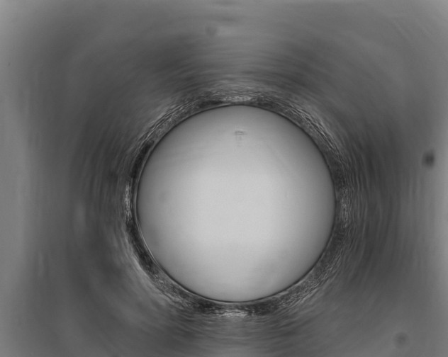 X0000096140598200801180853