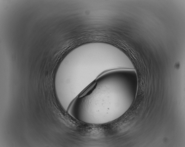 X0000096140601200801180853