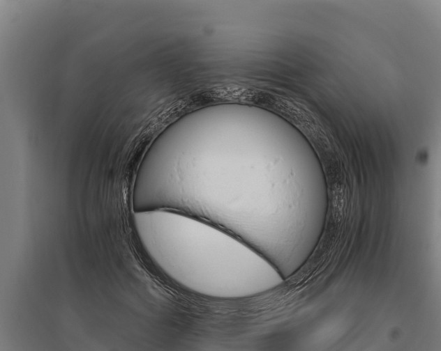 X0000096140602200801180853
