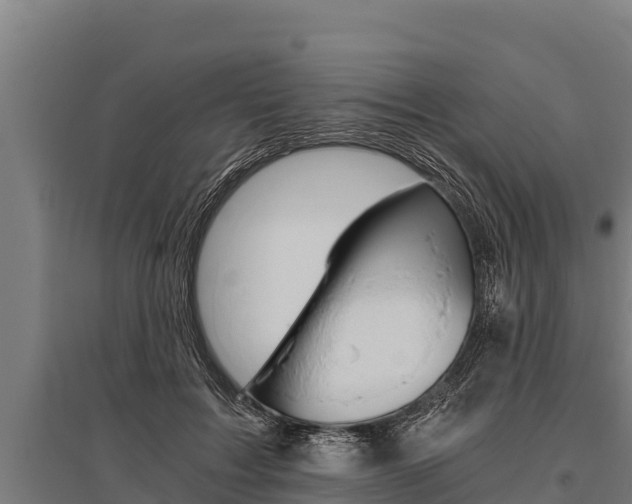 X0000096140603200801180853
