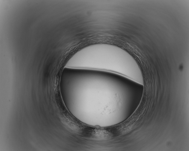X0000096140605200801180853