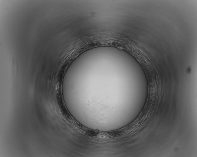 X0000096140608200801180853