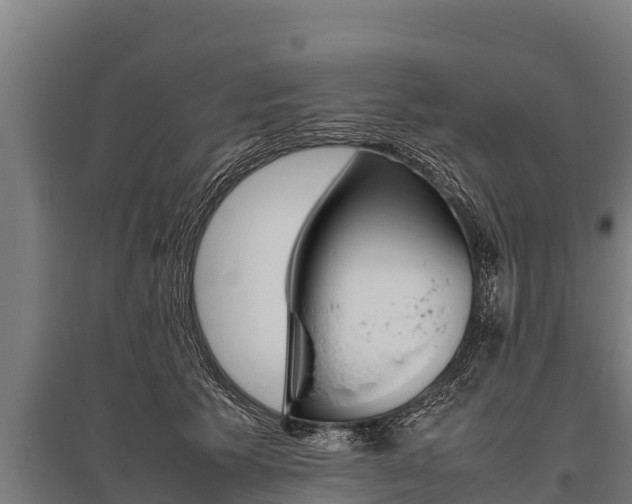X0000096140609200801180853