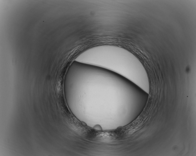 X0000096140611200801180853