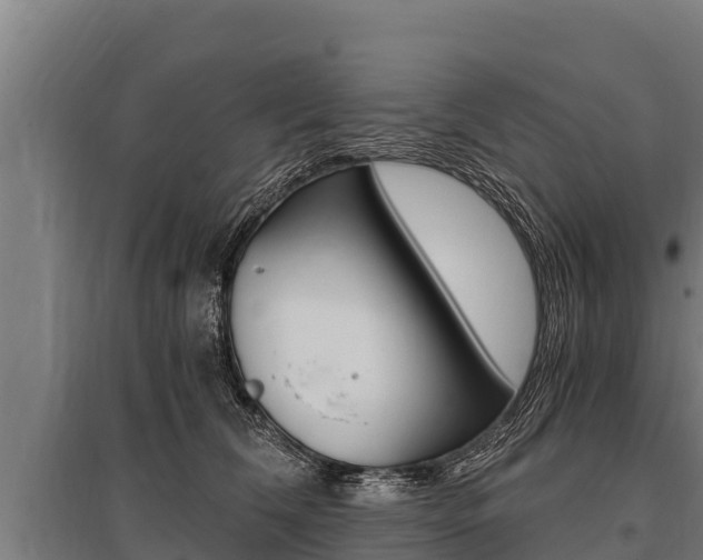 X0000096140612200801180853