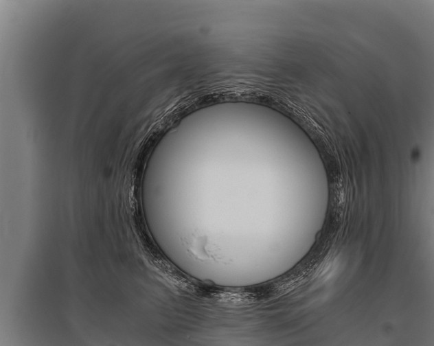 X0000096140615200801180853
