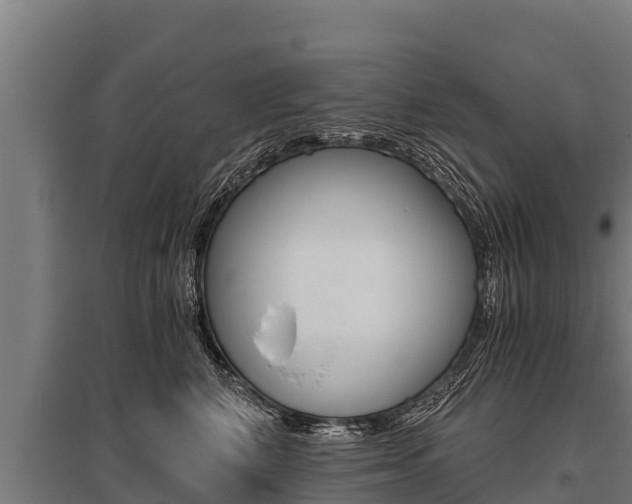 X0000096140616200801180853