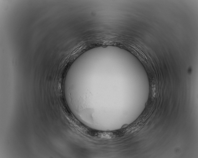 X0000096140618200801180853