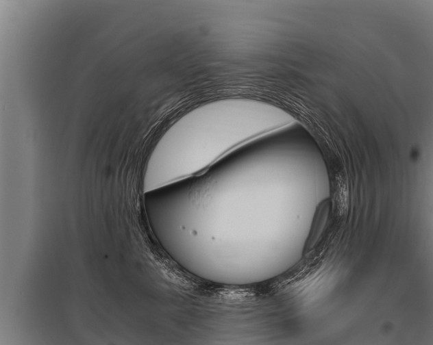 X0000096140619200801180853