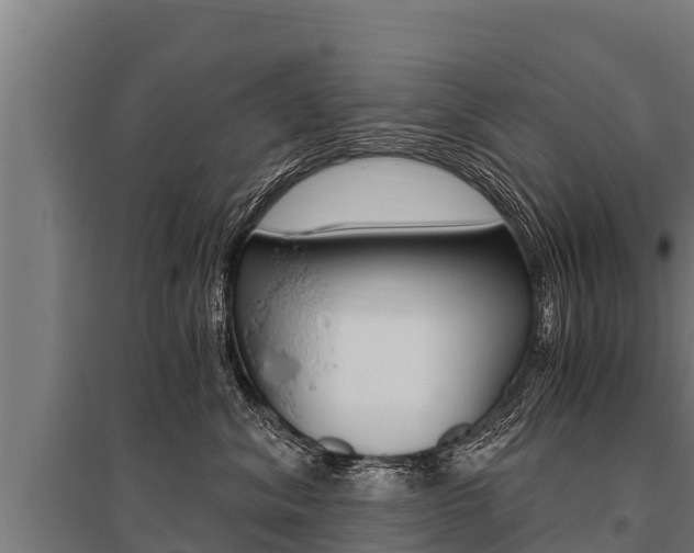 X0000096140620200801180853