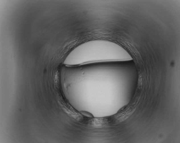 X0000096140623200801180853