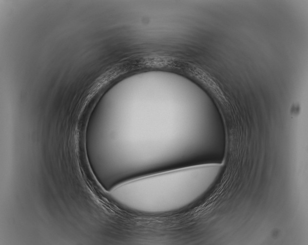 X0000096140626200801180852