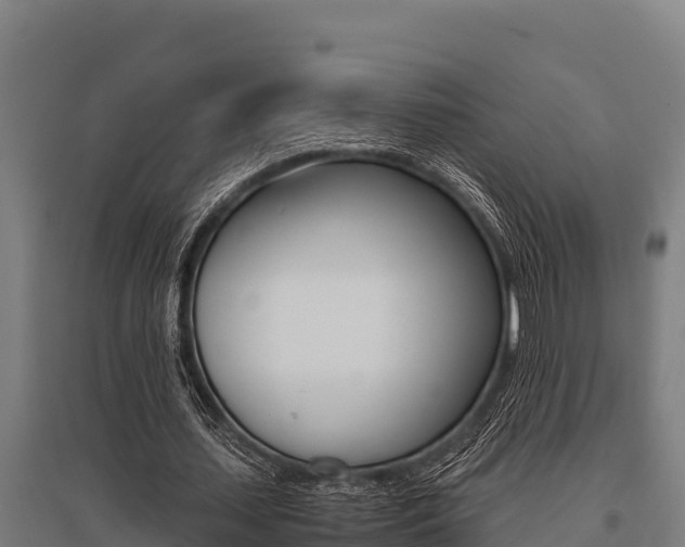 X0000096140627200801180852