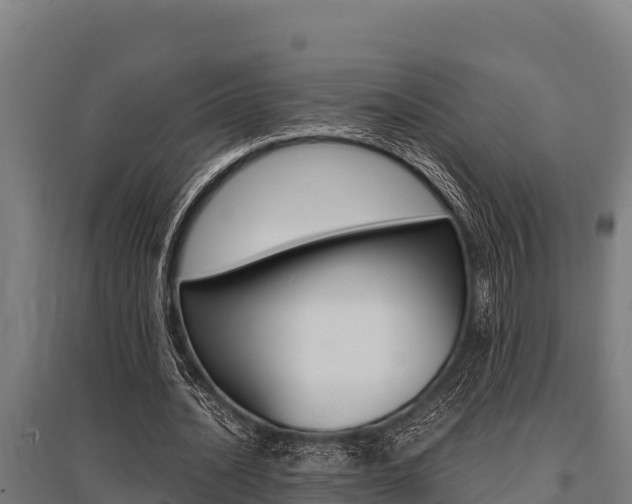 X0000096140628200801180852