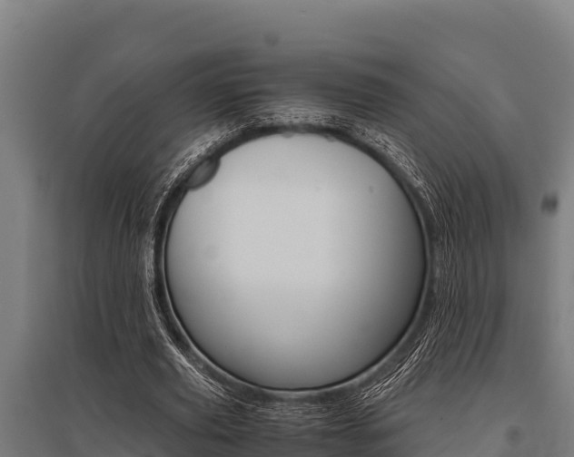 X0000096140629200801180852