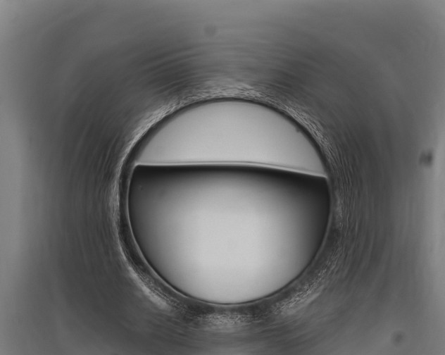 X0000096140630200801180852