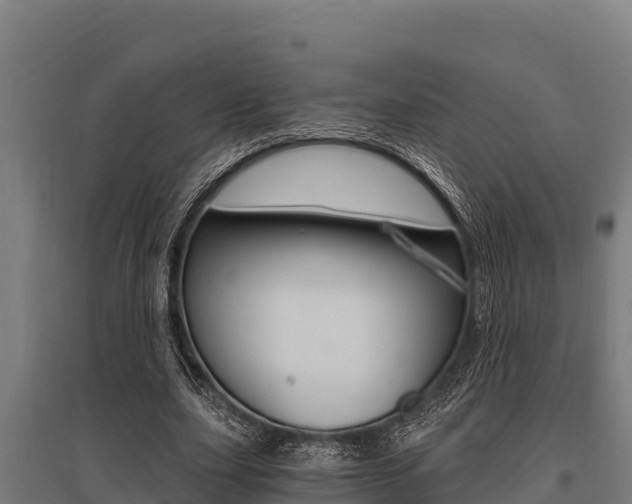X0000096140631200801180852