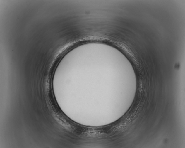 X0000096140632200801180852