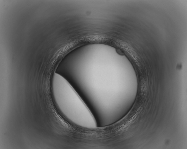 X0000096140633200801180852