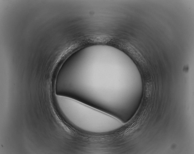 X0000096140634200801180852
