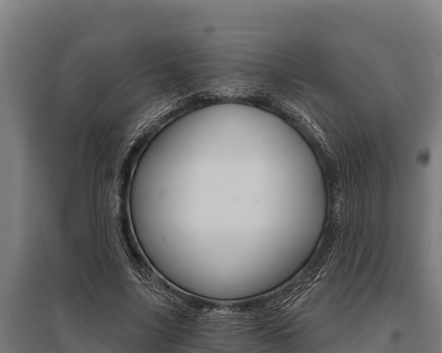 X0000096140635200801180852