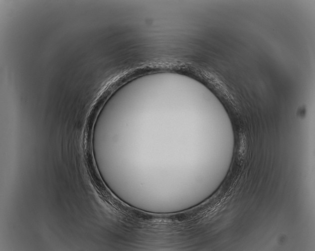 X0000096140636200801180852