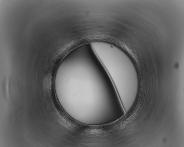 X0000096140637200801180852