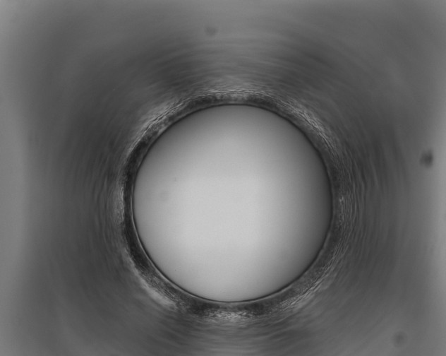 X0000096140638200801180852