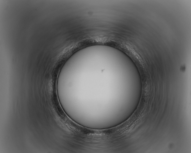 X0000096140639200801180852