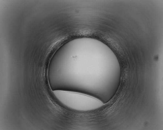 X0000096140640200801180852