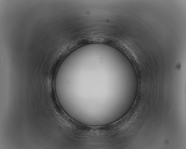 X0000096140641200801180853