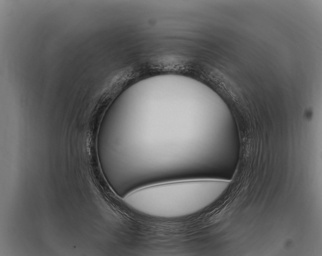 X0000096140643200801180853